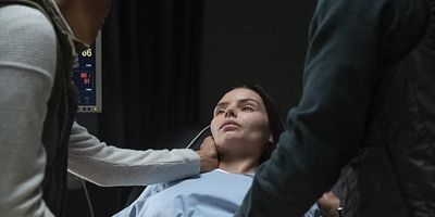 poster de la série Nature hybride