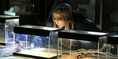 poster de la série Comme deux gouttes d'eau