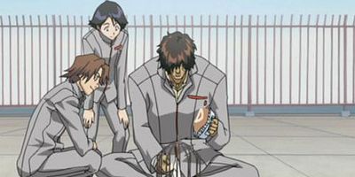 poster de la série Perroquet maudit