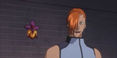 poster de la série Réunion : Ichigo et Rukia