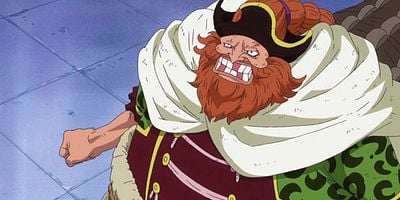 poster de la série Le cri de Barbe Brune. La colère de Luffy !