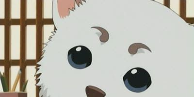 poster de la série Quand vous êtes fatigués, prenez quelque chose d'acide