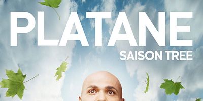 poster de la série La fois où il était double speed