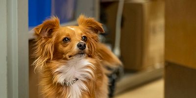 poster de la série Un trajet épique