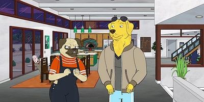 poster de la série Surprise !