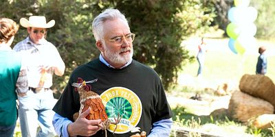 poster de la série Fork Fest