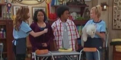 poster de la série Un travail au poil