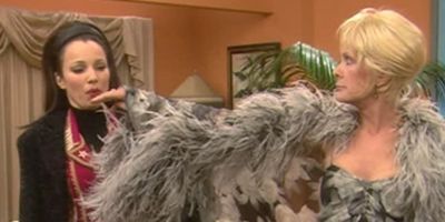 poster de la série Le grain de beauté