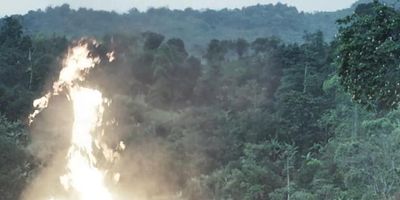 poster de la série Douloureuses conséquences