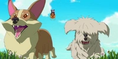 poster de la série Au-delà de la vallée des chiens