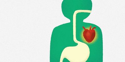 poster de la série Pourquoi les régimes échouent