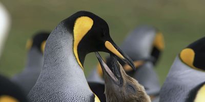 poster de la série Au bout du monde