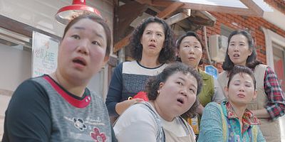 poster de la série Le paysan