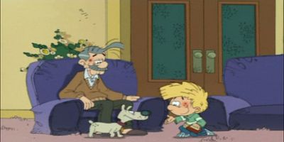 poster de la série Nos amies les bêtes