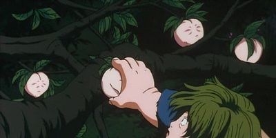 poster de la série Bishoujyo Kyoudai no Deshi Irishigan