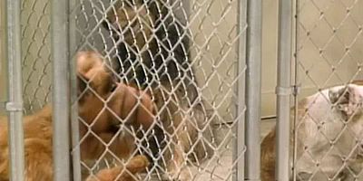 poster de la série Bien malin qui pourra le dire