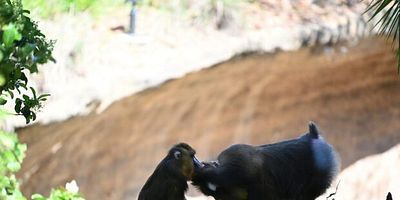 poster de la série Affaires de famille