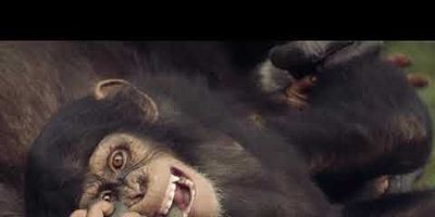 poster de la série Rivalités et rébellions