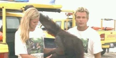 poster de la série Amis pour la vie