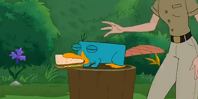 poster de la série Un ornithorynque peut en cacher un autre