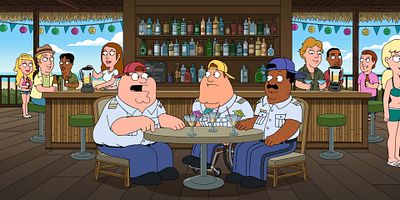 poster de la série Le vétéran