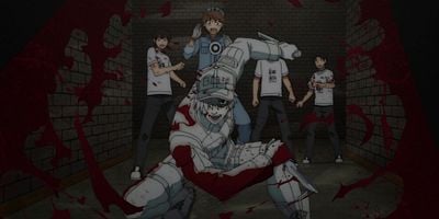 poster de la série L'Immunité acquise / Les Plaques de Peyer