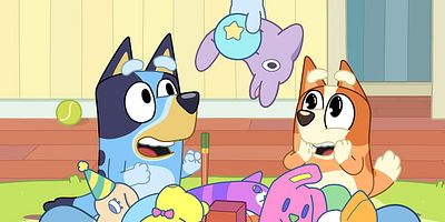 poster de la série La Pince