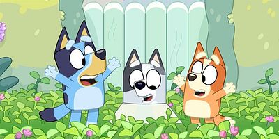 poster de la série Le gâteau canard