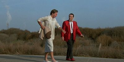 poster de la série La Future Maman