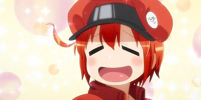 poster de la série Les Bactéries pathogènes