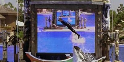 poster de la série Mes fidèles amis