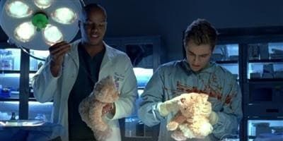 poster de la série Nos remerciements