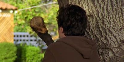 poster de la série Mon gros oiseau