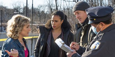 poster de la série La grande arnaque