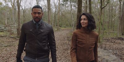 poster de la série Volatilisée