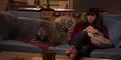 poster de la série L'opossum