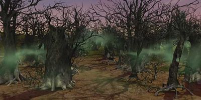 poster de la série La forêt morte