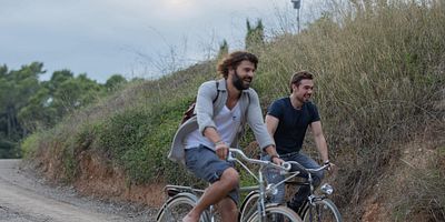 poster de la série Vida normal