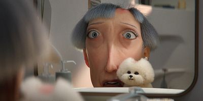 poster de la série Le robot et la vieille dame