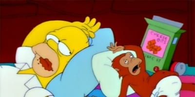 poster de la série Le journal de Lisa Simpson