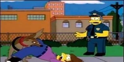 poster de la série L'herbe médicinale