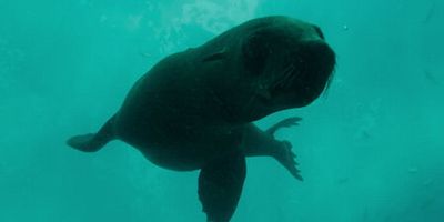 poster de la série Rencontres de trop de types