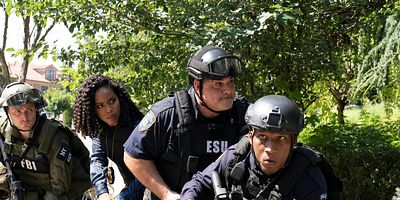 poster de la série Un plus gros poisson