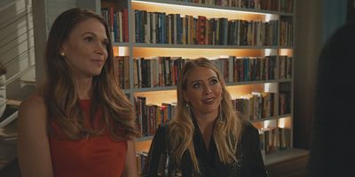 poster de la série La chasse au moustique