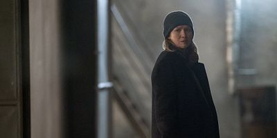 poster de la série Champs de vignes et orangers