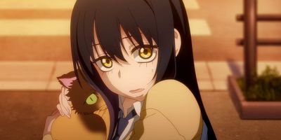 poster de la série Tu vois ?