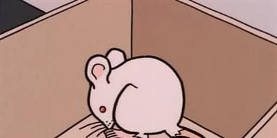 poster de la série Des souris et des mômes