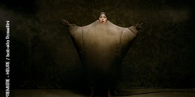 poster de la série Le crapaud du Surinam