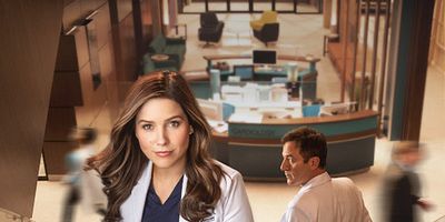 poster de la série Pilot