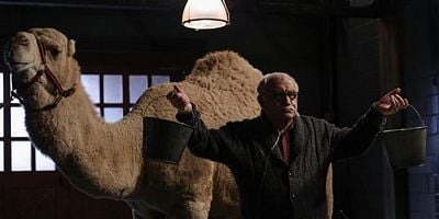 poster de la série Le Conglomérat (n°142)